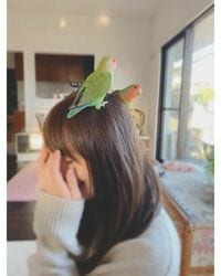 佐々木希、“反則級”のキュートな笑顔の動画を公開し「天使過ぎ」「のぞみーるが1番かわいい」の声