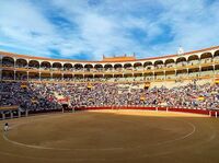 星野みなみ、スペインでの闘牛観戦報告に反響 「可愛いすぎてびっくり」「闘牛もメロメロ」