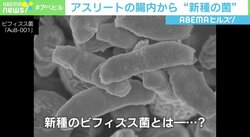 アスリートの便は茶色のダイヤ！？ 腸内から“新種の菌”発見 感染症予防や健康維持に注目集まる