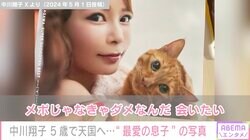 中川翔子、5歳で天国へと旅立った愛猫との写真公開「名前を呼ぶだけで泣いてしまう」
