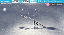 「まるで映画のオープニング」元旦に北海道で撮影された“ダイヤモンドダスト”に「初めて観た。なんて綺麗なの！」などの反響