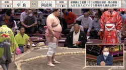 元安美錦、現役時代のテーピング“4重巻き”秘話を披露 「バームクーヘンみたい」の声に「美味しそうに見えます（笑）」