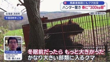 写真・画像】ハンター驚く“春に異例の300kg超クマ” 高齢者施設にもクマ
