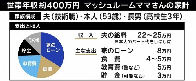 「息子1人大学にやるのもしんどい…」中間層が一番苦しい？ 年収400万円家庭の現実 6枚目