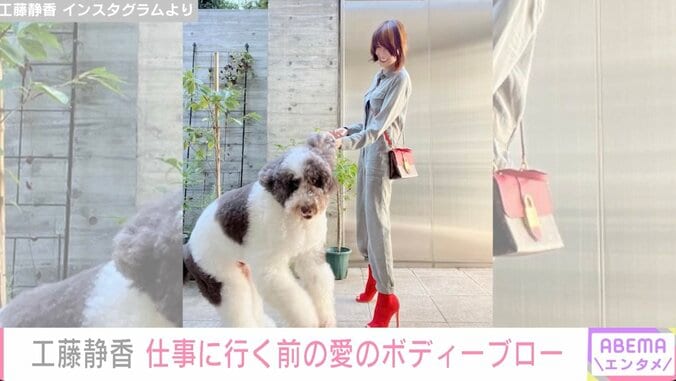 工藤静香、愛犬からボディーブローを食らう ファン大ウケで「静香さん吹っ飛んじゃいそう」 1枚目