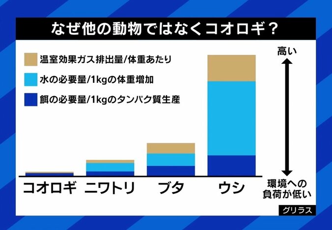 「コオロギ食」なぜ炎上 “給食提供”は早すぎた？ 専門家「被害者はいないのに…」 7枚目