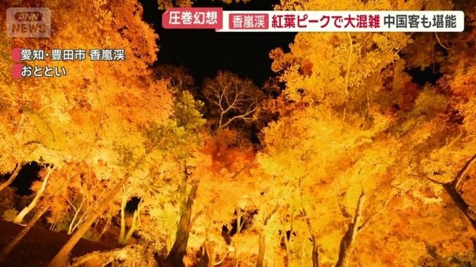 ライトアップされた紅葉