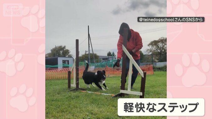 軽快なステップ