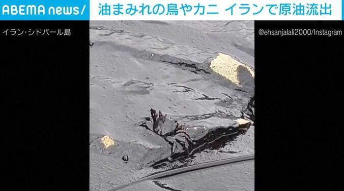 油まみれのカニ