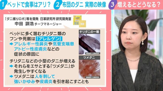 日革研究所・中田氏の見解