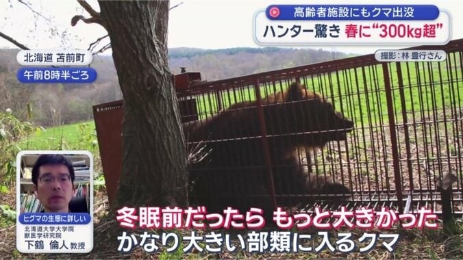 「450kgはあっただろう」