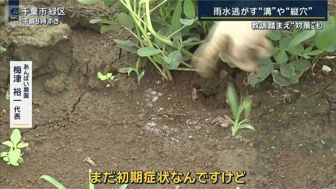 梅津代表