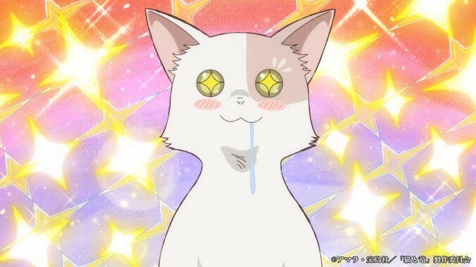 TVアニメ『猫と竜』ピックアップキービジュアル2が公開！安済知佳や種崎敦美らキャスト情報も解禁 5枚目