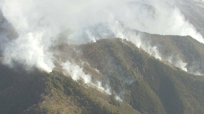 火事「もらい火」で賠償は困難　請求可能は1～2％　「再調達価額」補償の保険検討を 1枚目