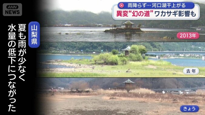 この傾向は去年の夏から