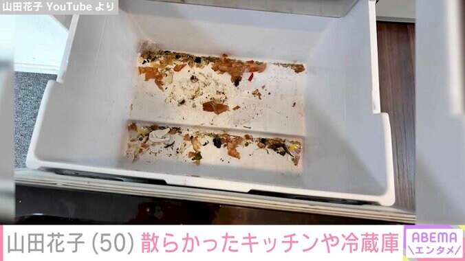 【写真・画像】山田花子（50）、11年間掃除してない冷蔵庫や散らかった自宅キッチン公開「主婦失格ですね」　3枚目