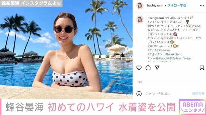 スピードワゴン井戸田の妻・蜂谷晏海、初めてのハワイを満喫 セクシーな水着姿披露 1枚目