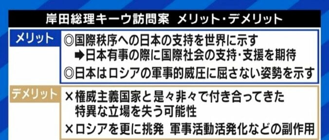 アメリカ国内に“ゼレンスキー疲れ”も…長期化するロシアの侵攻、ウクライナ支援はどこまで? 11枚目