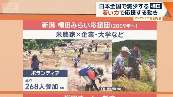 棚田みらい応援団