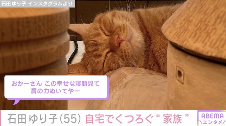 【写真・画像】石田ゆり子（55）「おかーさんはしあわせだよ」オシャレなインテリアが並ぶ自宅でくつろぐ愛猫を紹介　2枚目