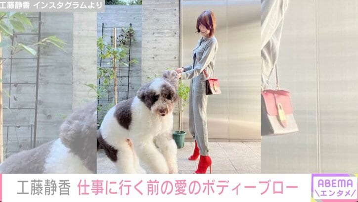 工藤静香、愛犬からボディーブローを食らう ファン大ウケで「静香さん吹っ飛んじゃいそう」