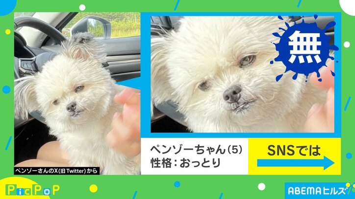 【写真・画像】 2枚目