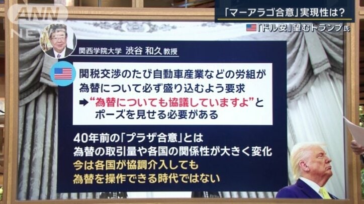 関西学院大学の渋谷和久教授によると