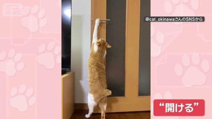 ドアノブをつかんで開ける