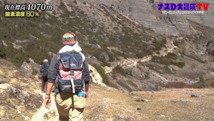 「知識ではなく体験」ナスD、標高3000メートル越えの絶景で「森林限界」を体感