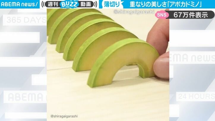 アボカドを並べてドミノ！？ 美しい“食べ物の断面”をドミノにしたユニークなグッズがSNSで話題に「本物みたいで食べちゃいそう」