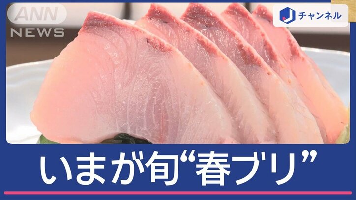 門出の季節、脂が乗った”春ブリ”が人気！