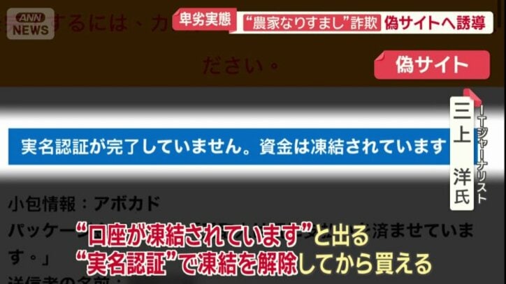 取引開始前に「口座が凍結されている」と表示