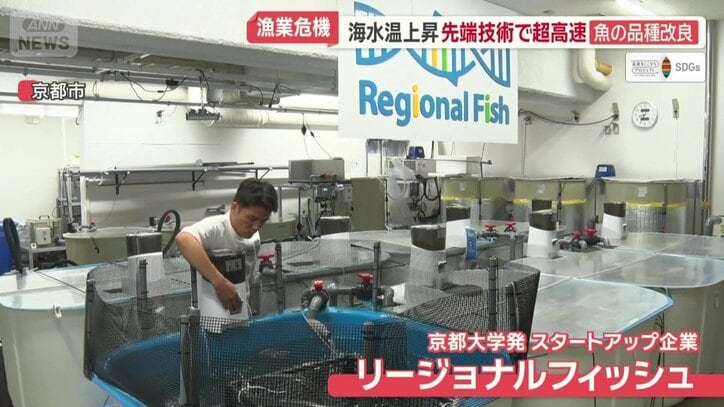 スタートアップ企業「リージョナルフィッシュ」