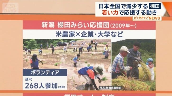 棚田みらい応援団