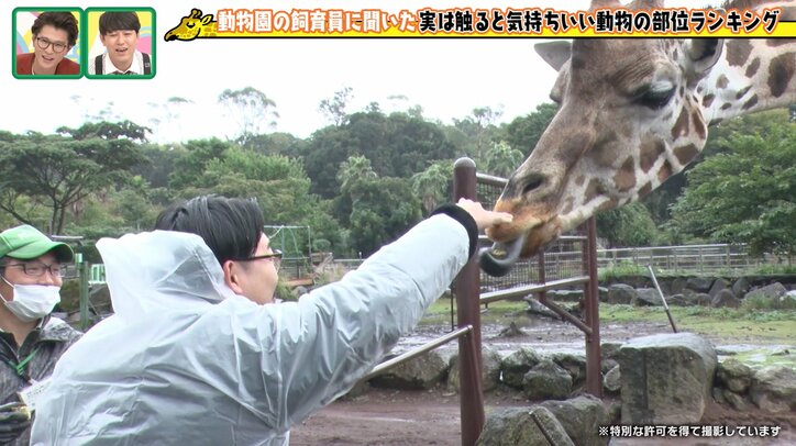 オズワルド伊藤、40分遅刻で雨の動物園ロケ「仕事した感じがしない」と不完全燃焼