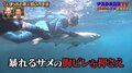ナスD、無人島でついにサメを捕獲！ 海中“ライドオン”にバイきんぐも衝撃「命がけだよ…」「なんで躊躇なく行けるの？」