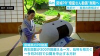 宮城県PRの“壇蜜動画” 批判受け公開中止へ、村井知事「一定の役割を果たした」