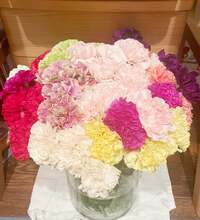 市川團十郎白猿『2023/05/13』