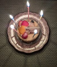 小林麻耶『妹の誕生日』