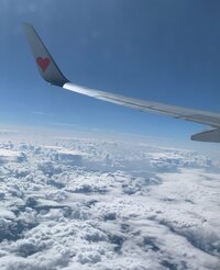 ココリコ遠藤嫁『思い出の場所！』