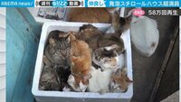 【映像】カメラが捉えた「幸せな密」