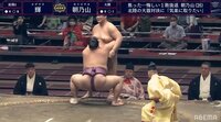 朝乃山、完勝