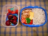 保田圭『息子のお弁当』