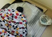 ココリコ遠藤嫁『今度は』