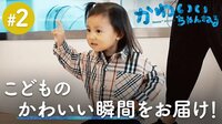 癒されたい大人に贈る！かわいいちゃんねる