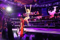 精密すぎるアクロバットが逆に怪しい？ 人気女子タッグ“誤爆”が引き金の敗戦に「絶対わざとだろ」