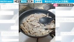 料理中に聞こえてくる“悲鳴のような音”にSNS騒然！高温に焼かれたこんにゃくたちの叫びに「これは物凄い悲鳴（笑）」「断末魔」