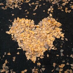 R&Bシンガーaimiと台湾のアーティストLIU KOI、コラボシングルを12月13日（金）リリース