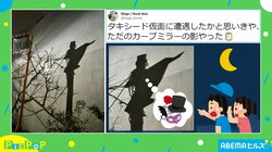 夜道に浮かぶシルエットがアニメキャラクターに似ていると話題 「本気でドキッとした」