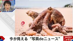 官能的すぎる生き物？ 水産加工会社の四代目が作った明石ダコのグラビア写真集が話題「タコの美しさを伝えるのは僕の使命」